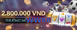 WW88