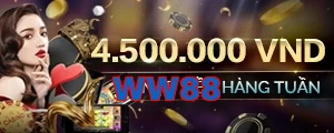 WW88