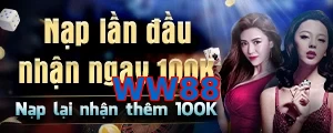 WW88